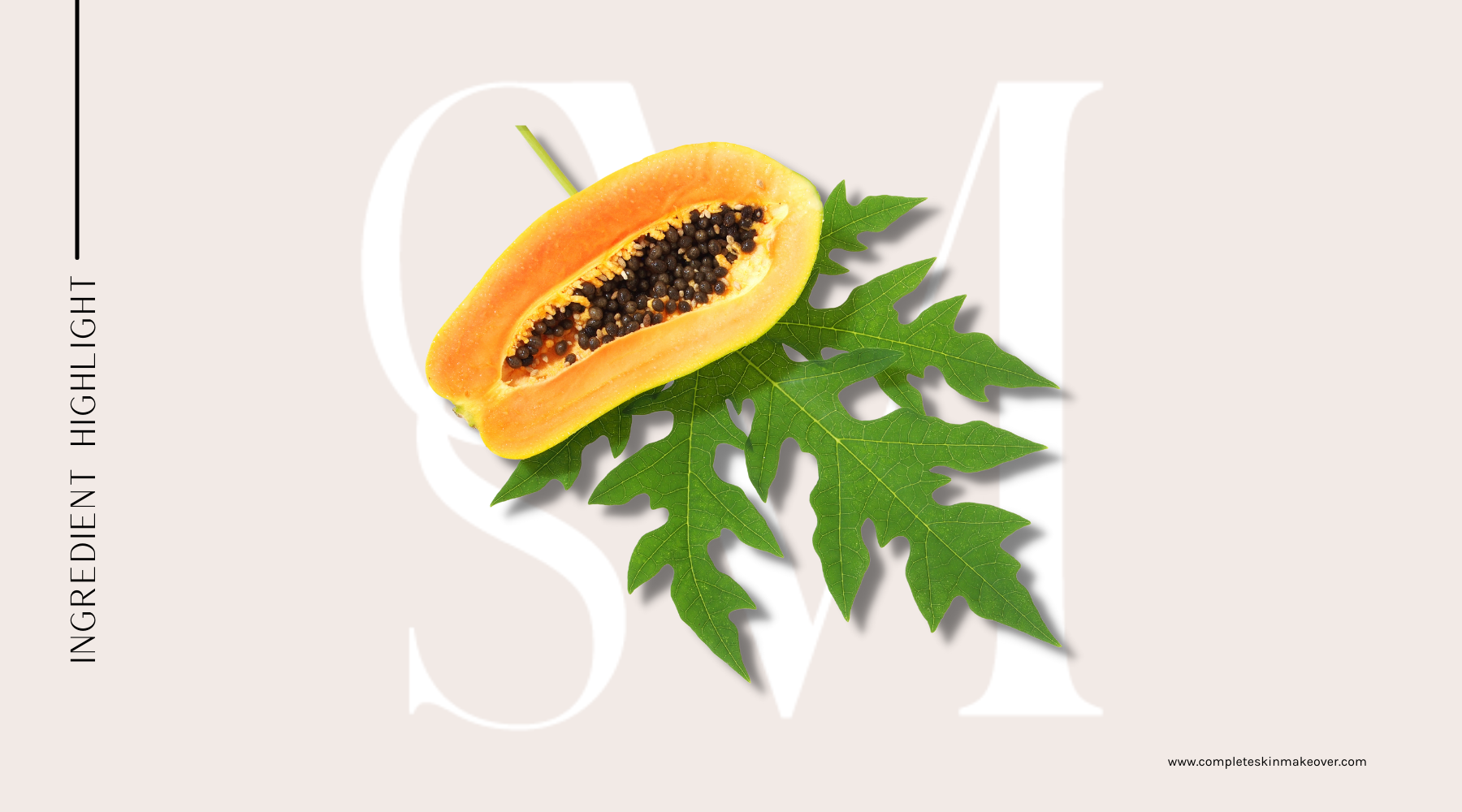 Ingredient Highlight: Papaya Leaf Extract [Benefits on Skin]