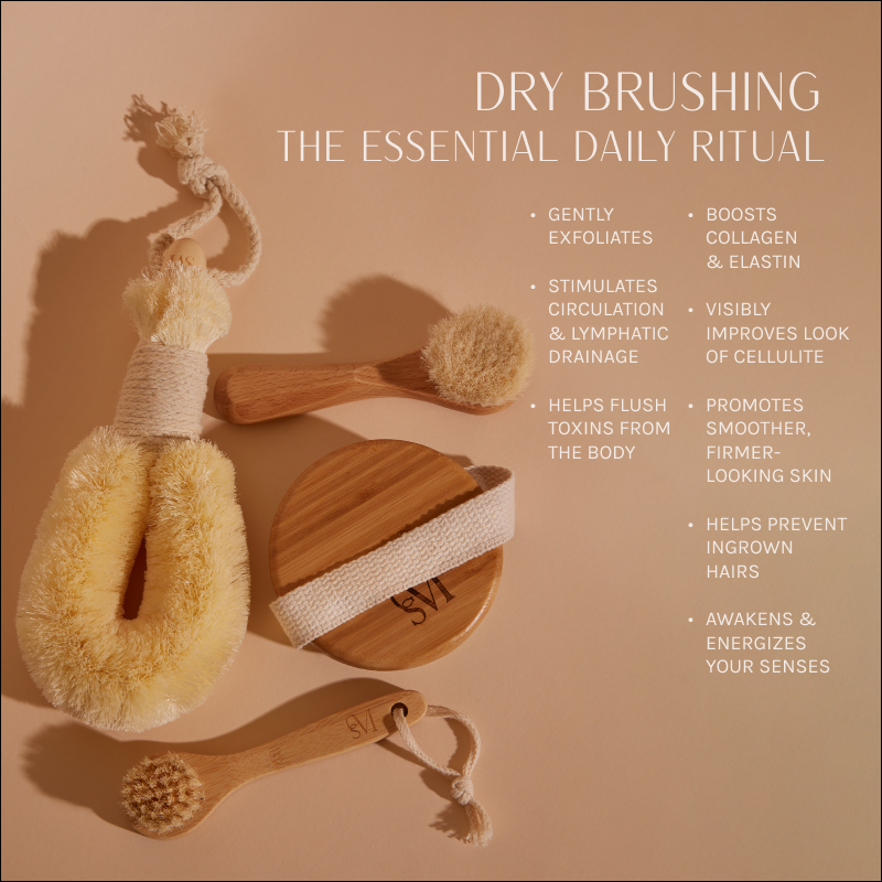 Dry Body Brush
