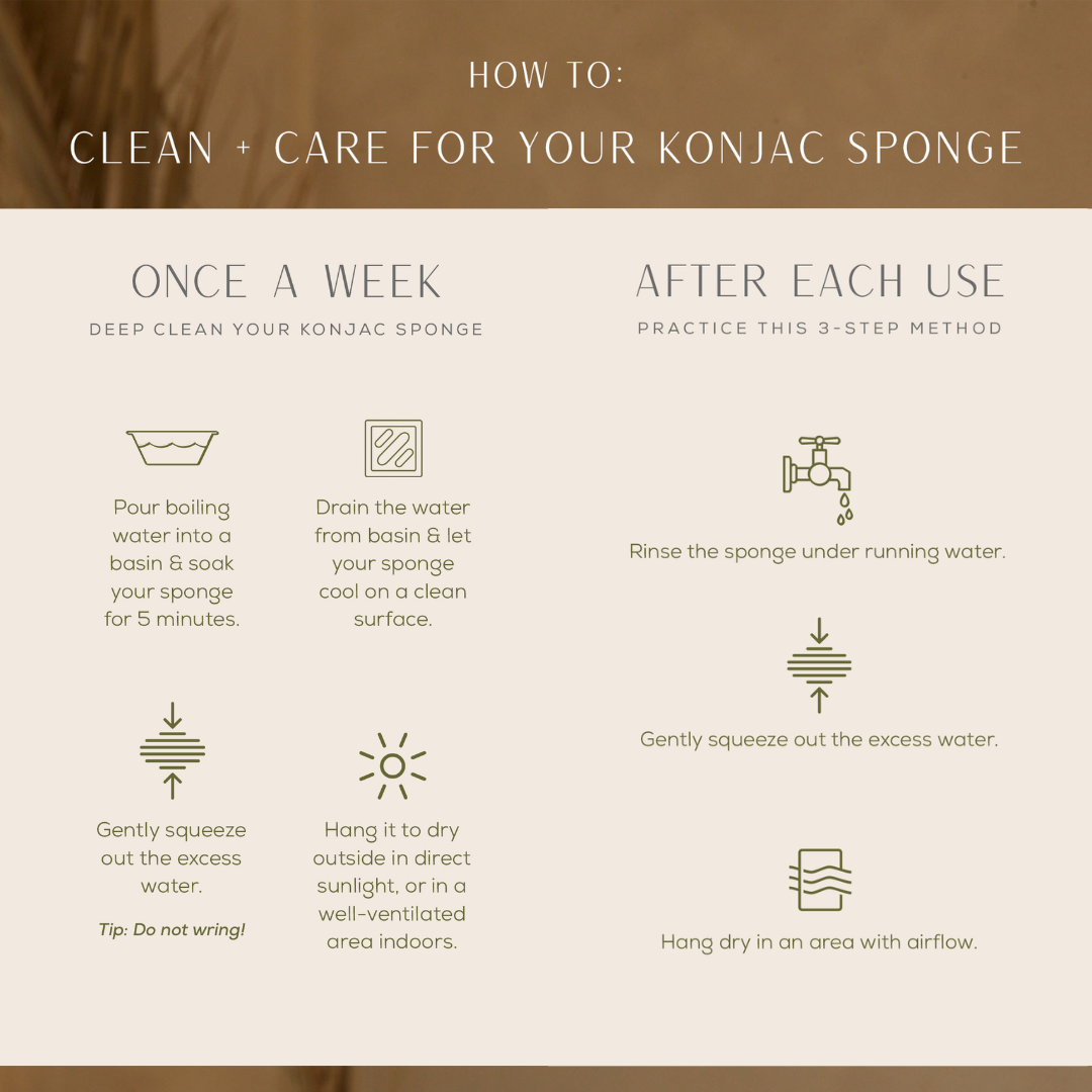 How to clean and care for your konjac sponge